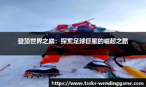 问鼎娱乐平台